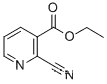 Molecular Structure of 75358-90-6 (Ethyl 2-cyanopyridine-3-carboxylate)